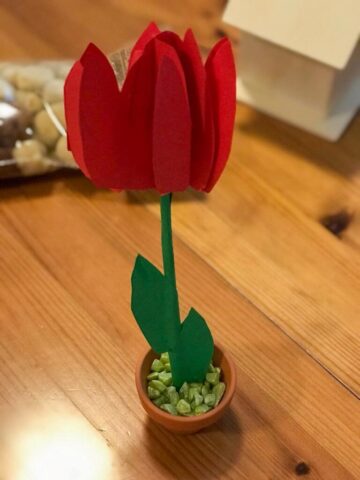 gebastelte-Blume-nobis-Hof-WA0017